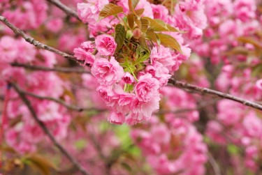 温州永嘉9线下个人借款平台一站式服务，轻松解决资金难题