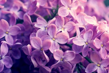 温州永嘉9企业急用钱贷款攻略：快速融资解燃眉之急